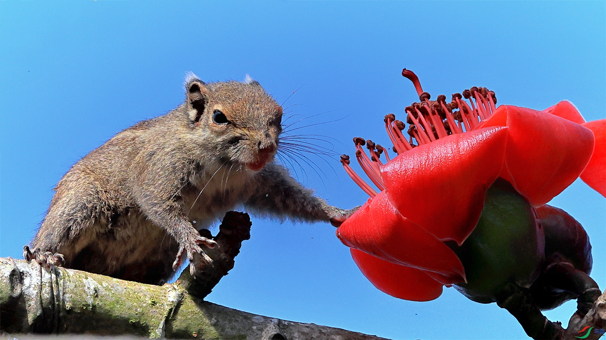 1C9A8485_���� - ����.jpg