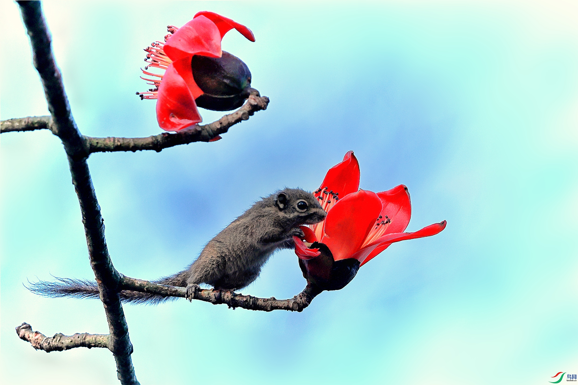 1C9A0162_���� - ����.jpg