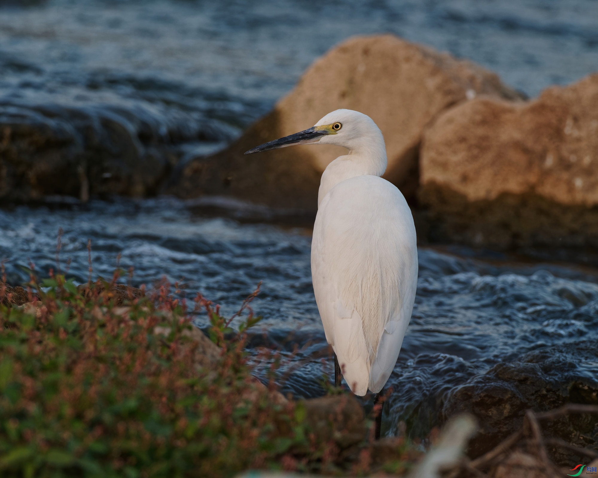 PB180115_DxO-d2.jpg