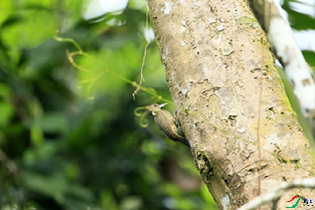120.jpg