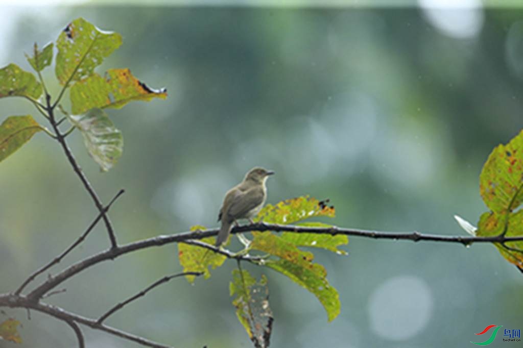 108.jpg