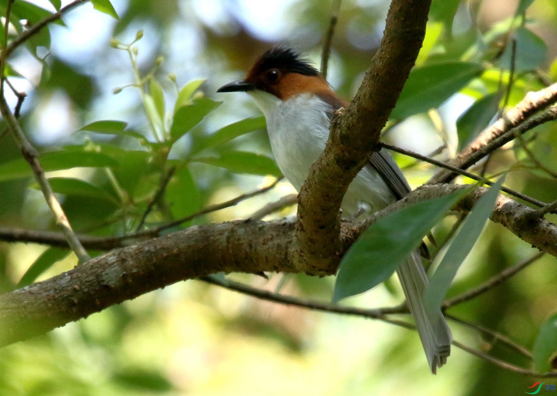 4B3A3784.JPG