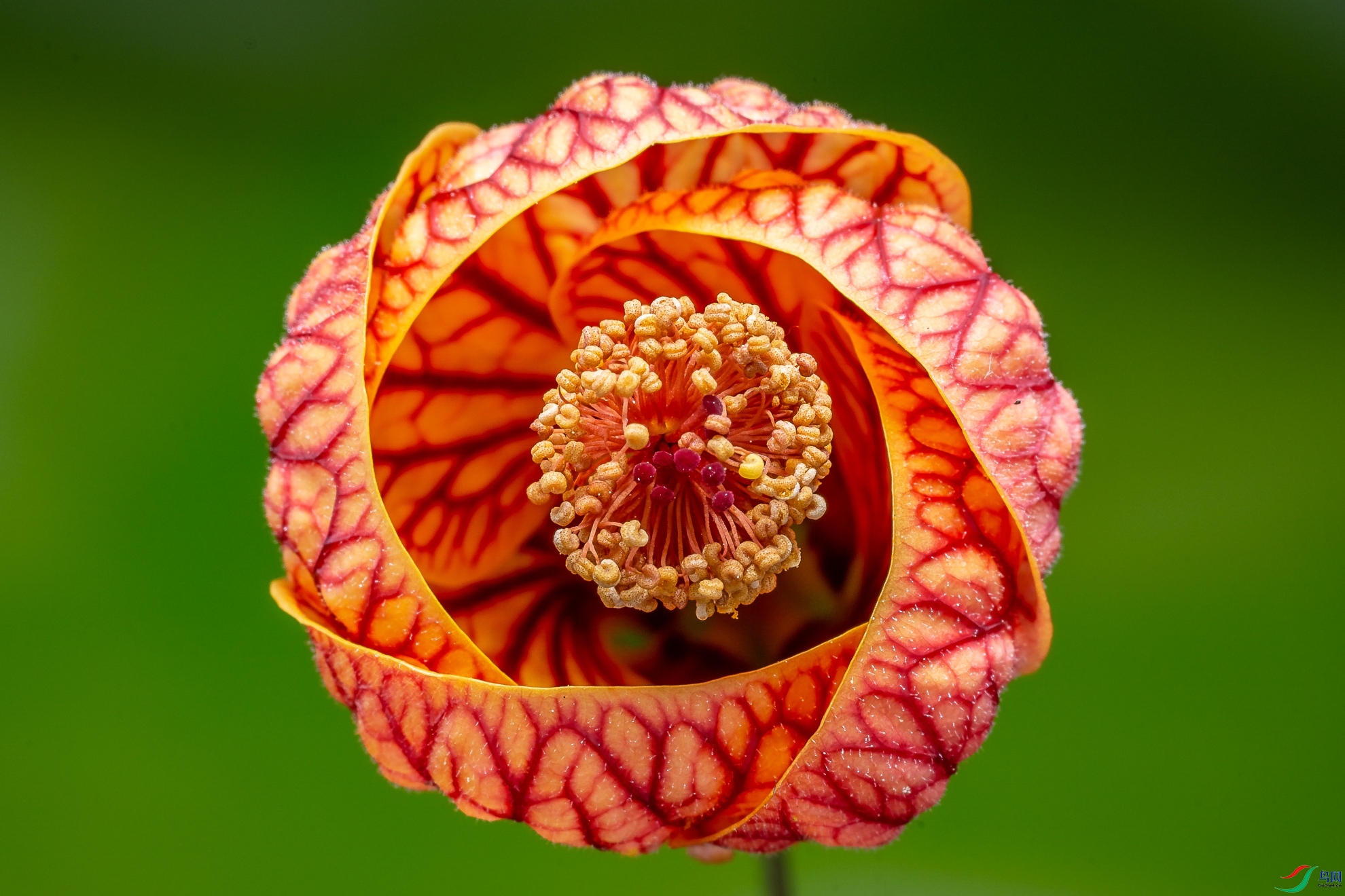 δ����-03816.jpg