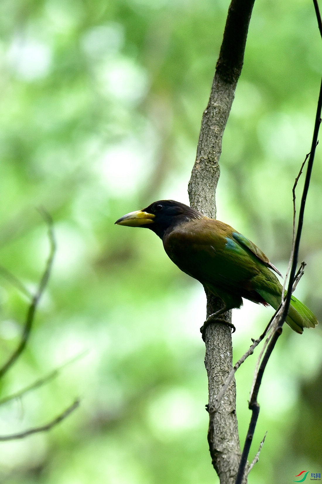 DSC_0922.JPG