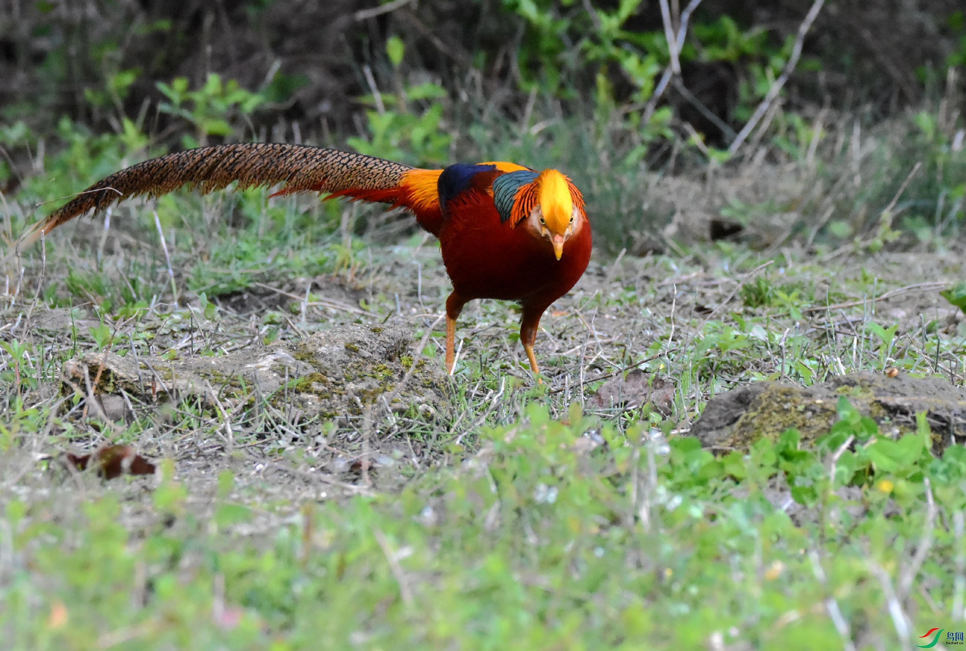 DSC_8565.JPG