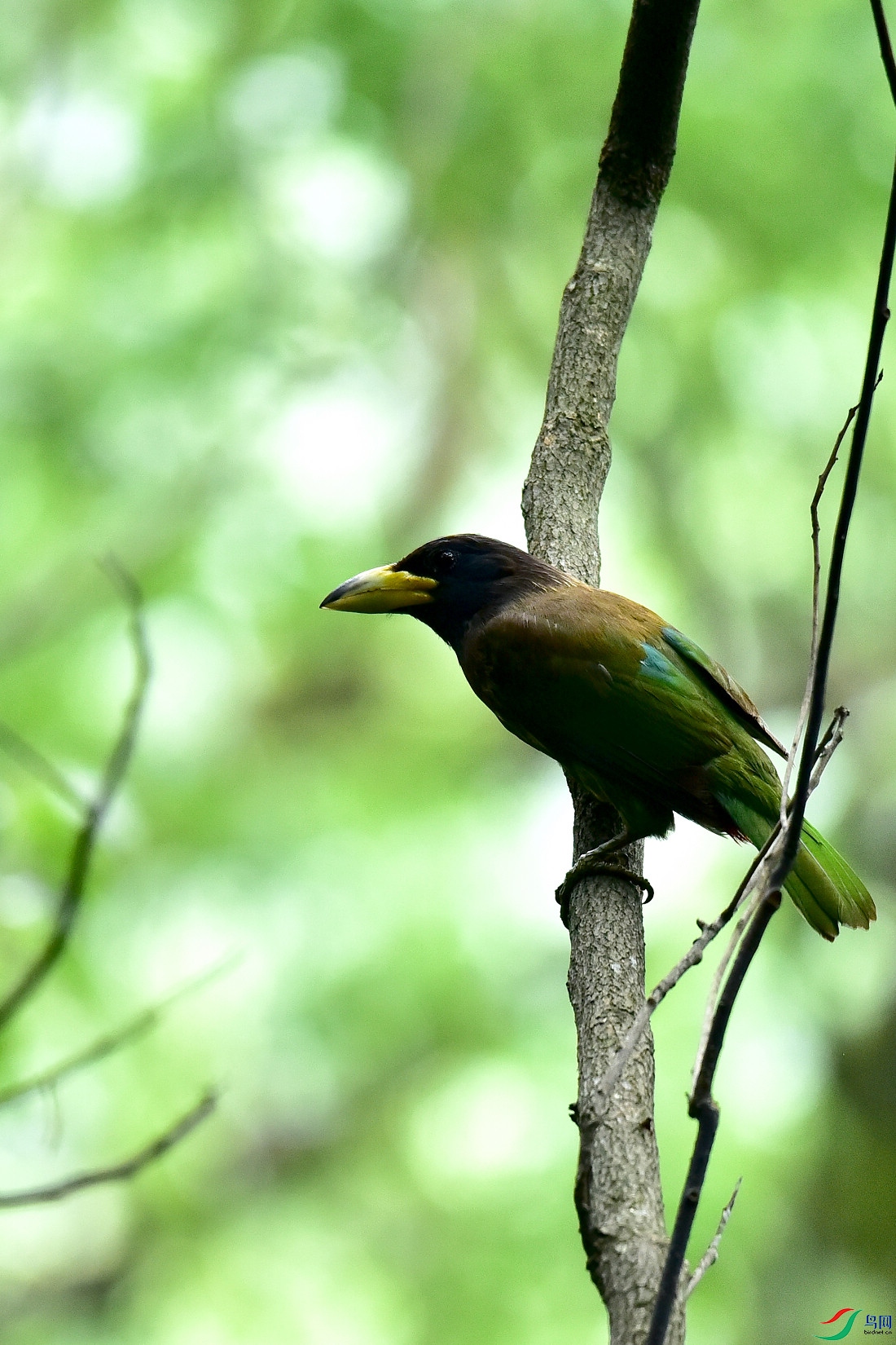 DSC_0923.JPG