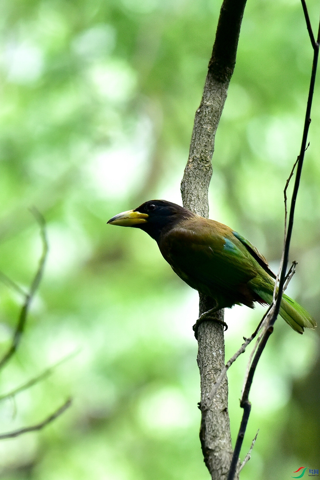 DSC_0924.JPG