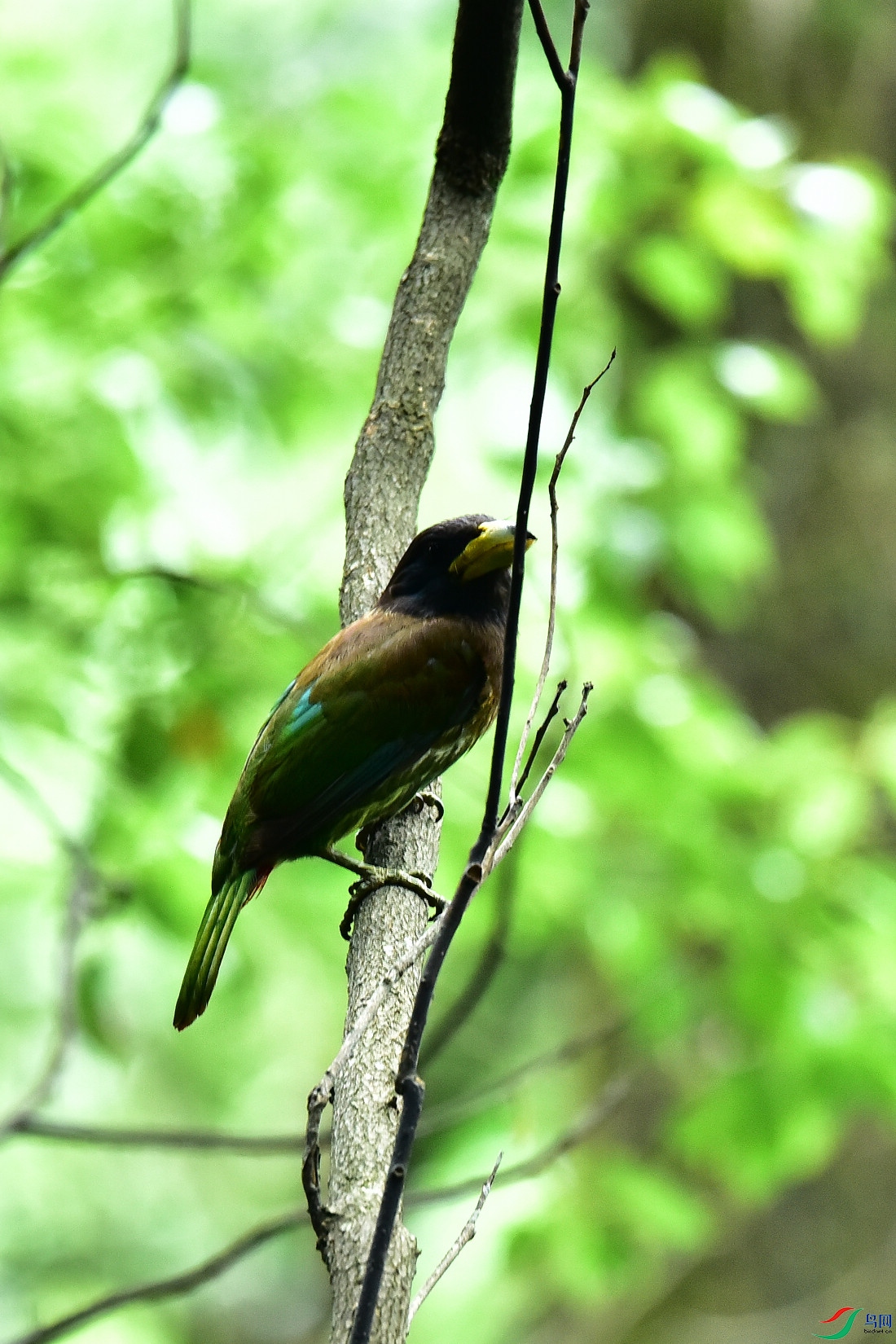 DSC_0927.JPG