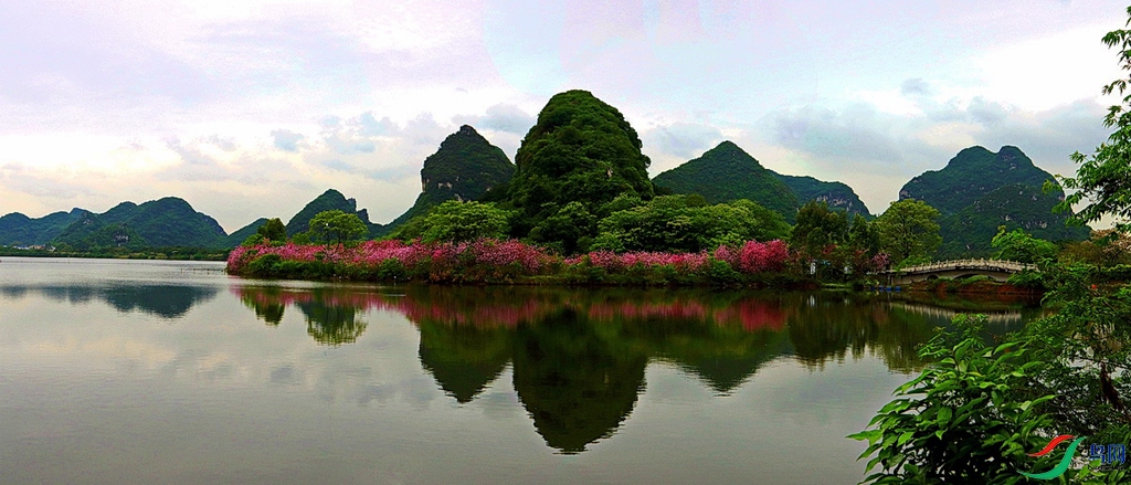 柳州千亩湖桃花图片