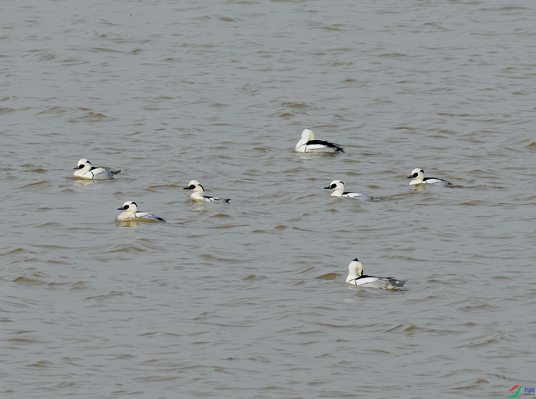 K7D03028.jpg