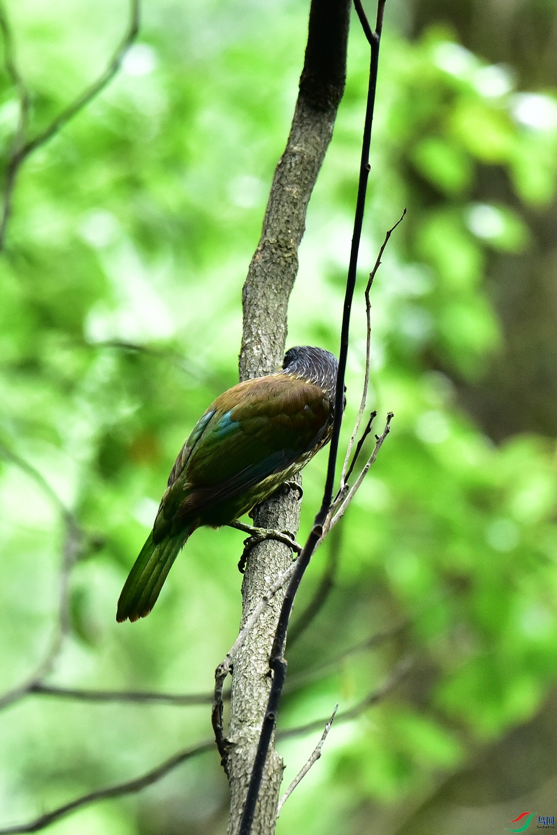 DSC_0929.JPG