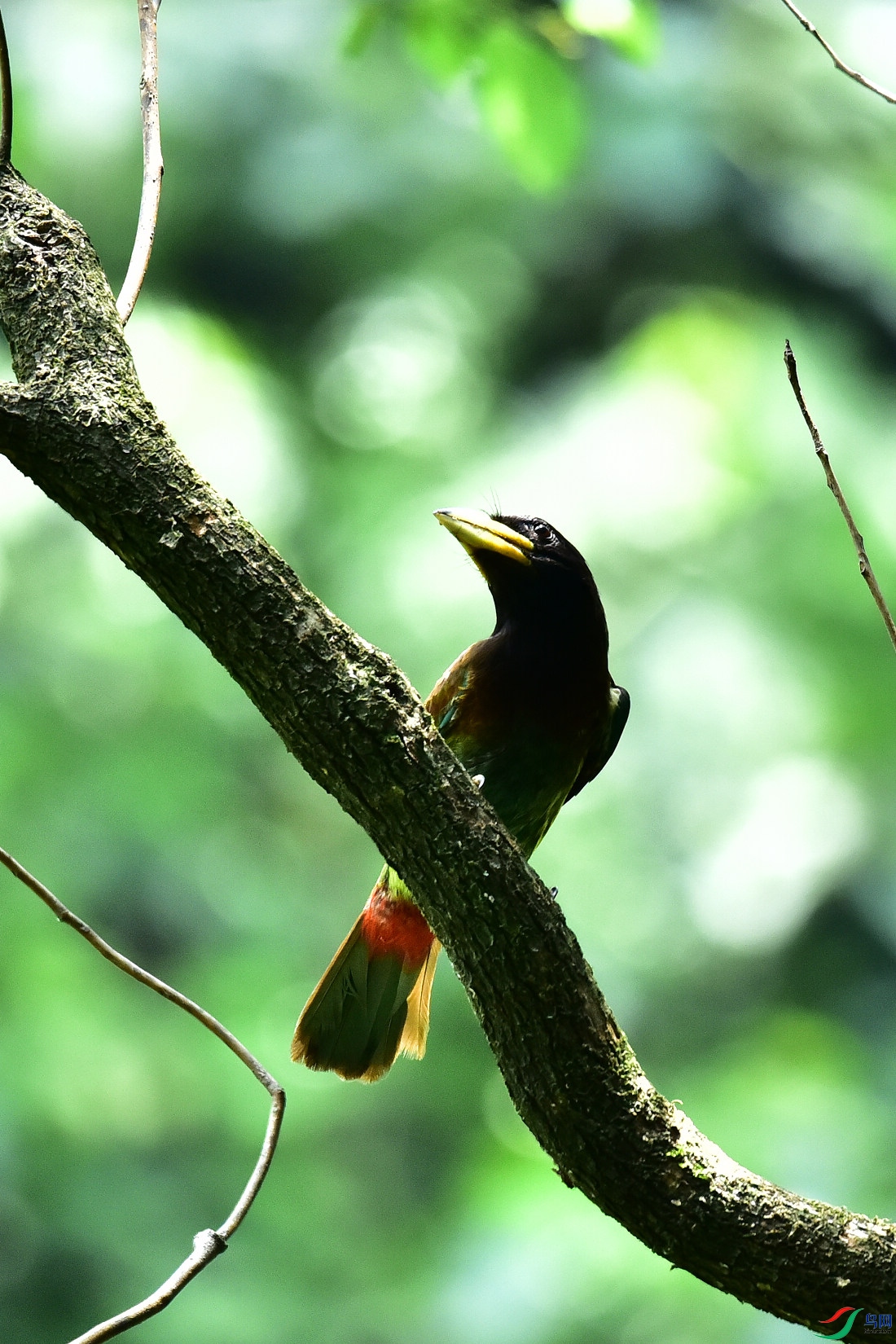 DSC_0932.JPG
