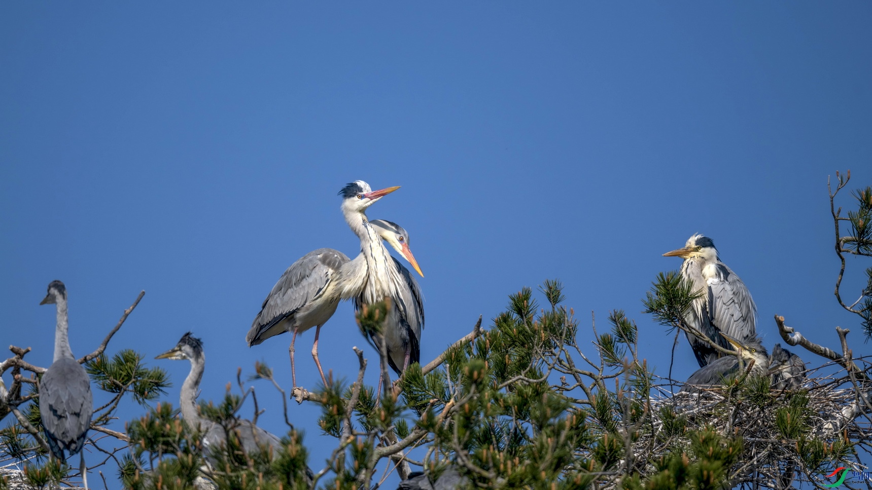 DSC_5807AF01.jpg