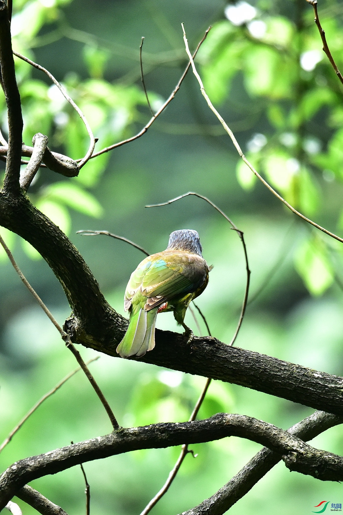 DSC_0936.JPG