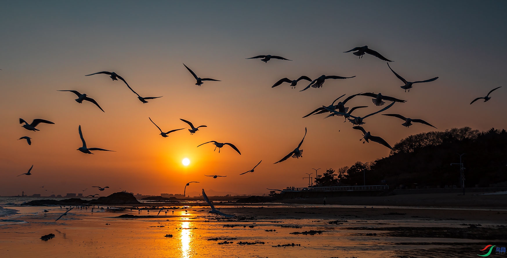 夕阳之上