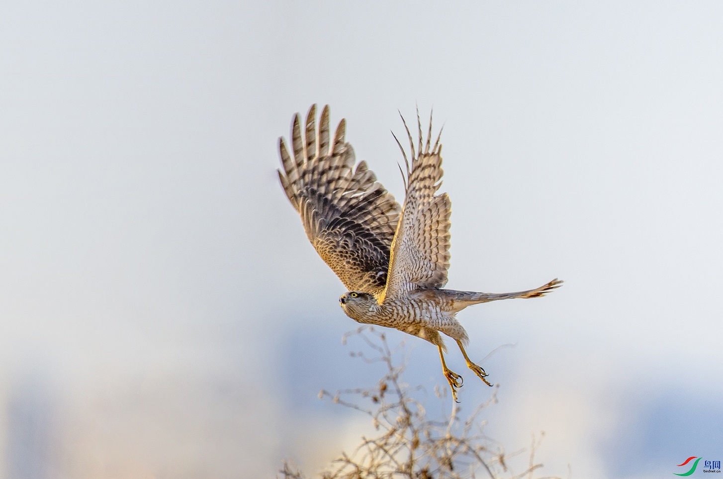 ����Ŀ��