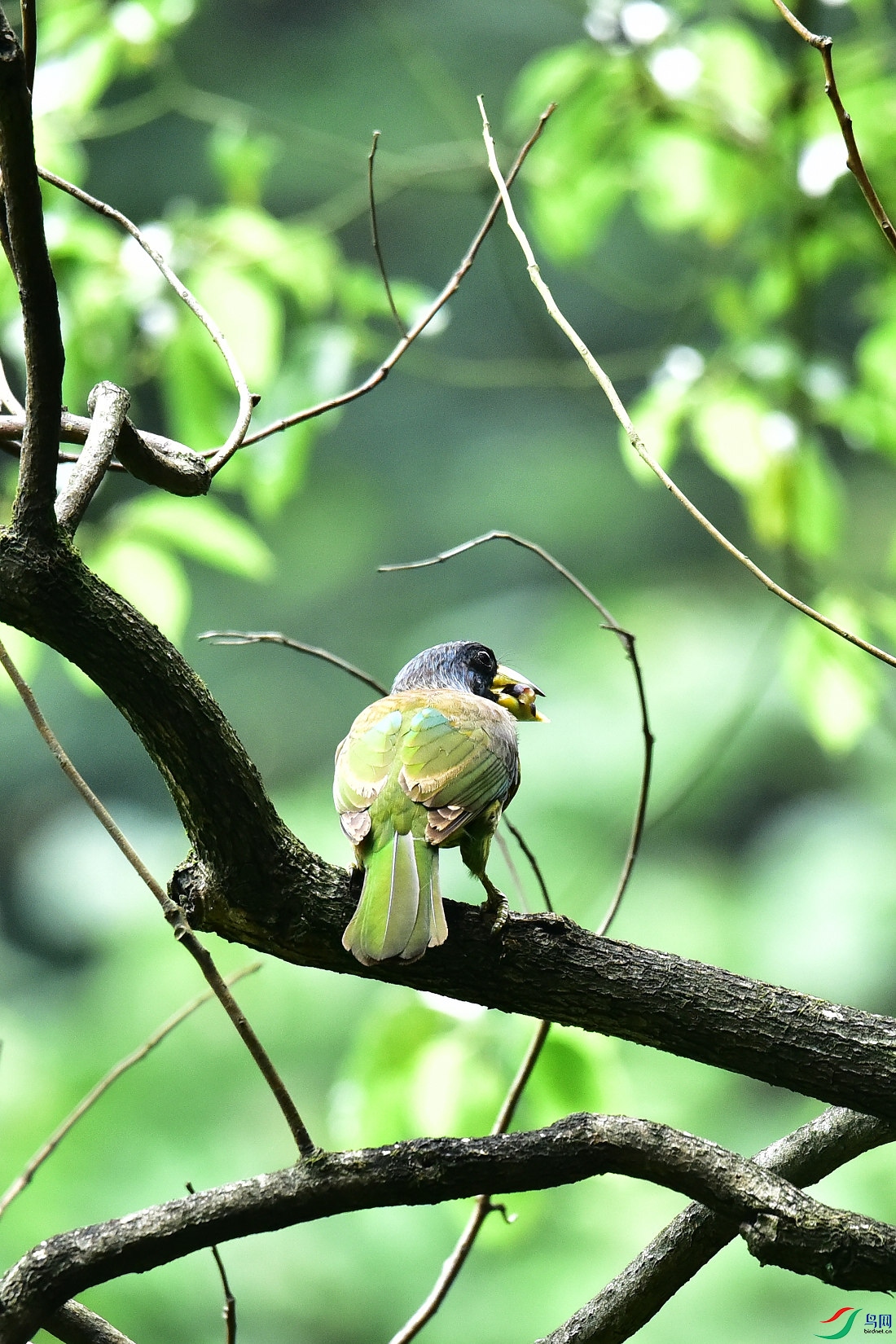 DSC_0939.JPG
