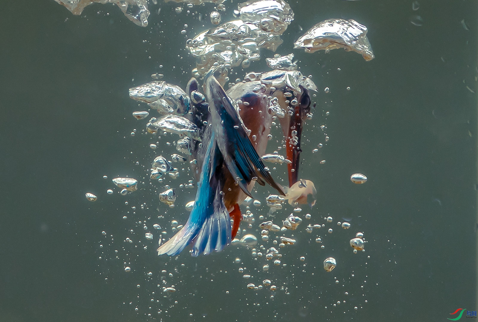 DSC_6417.jpg