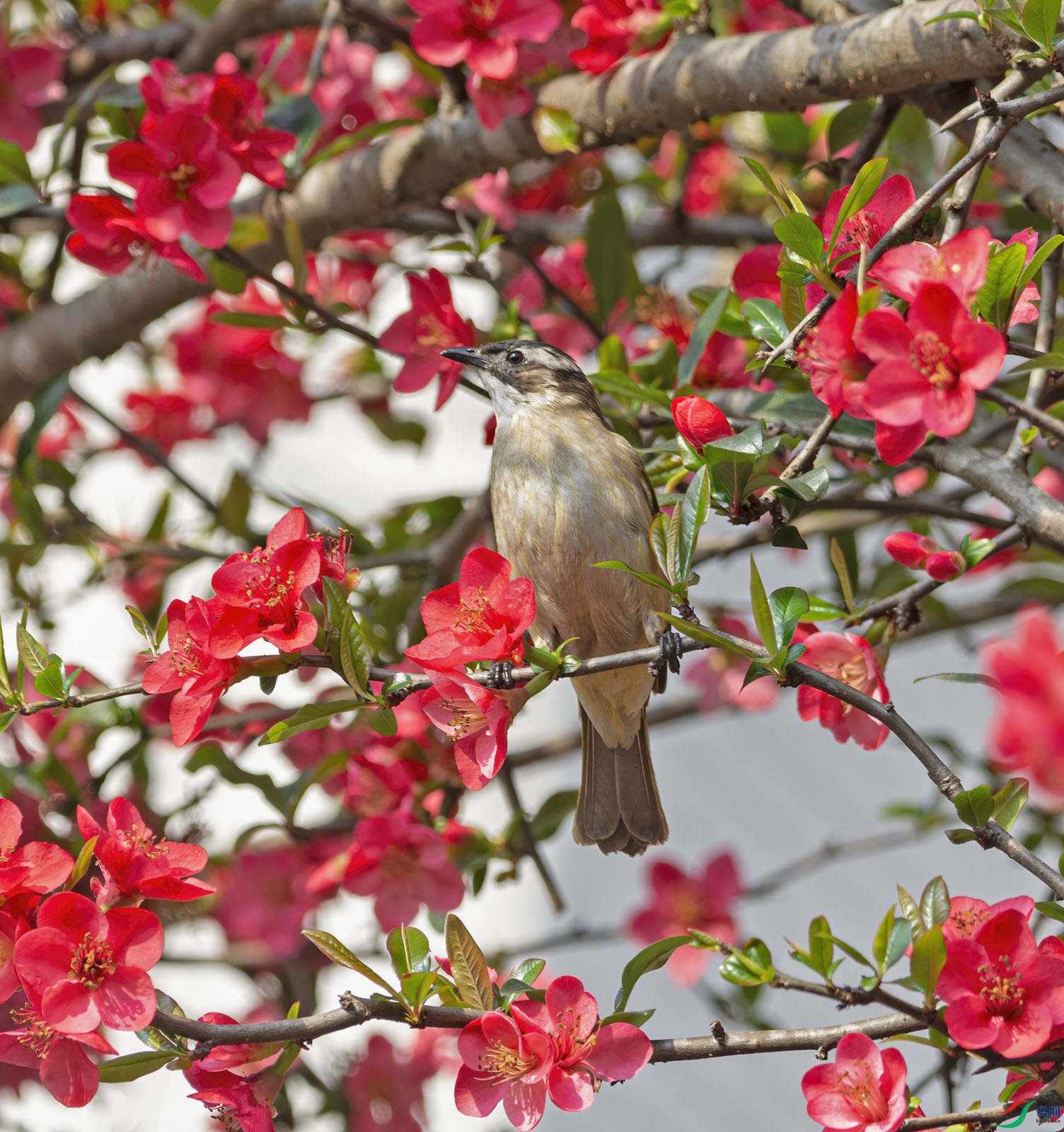 DSC_6472.jpg
