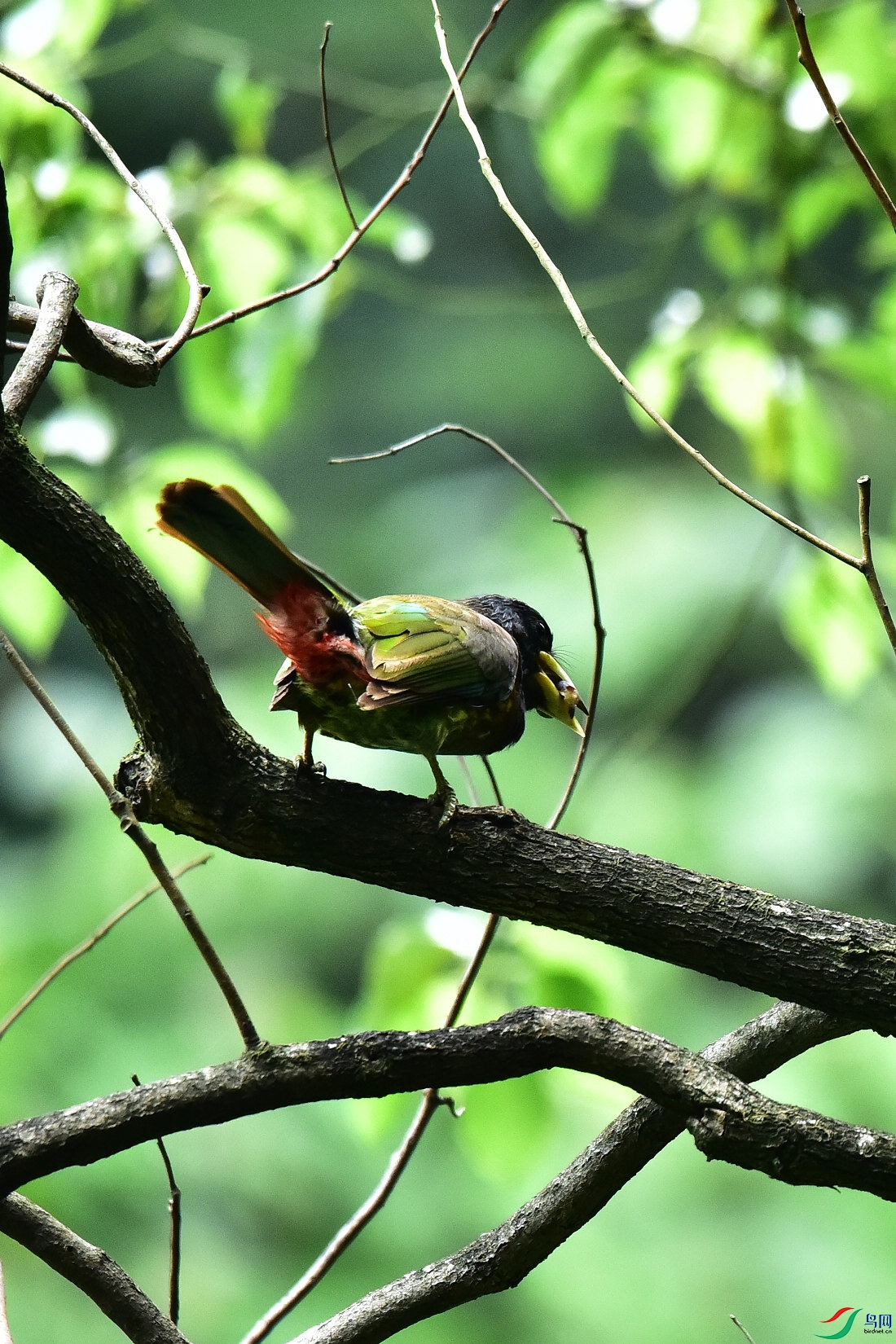DSC_0946.JPG