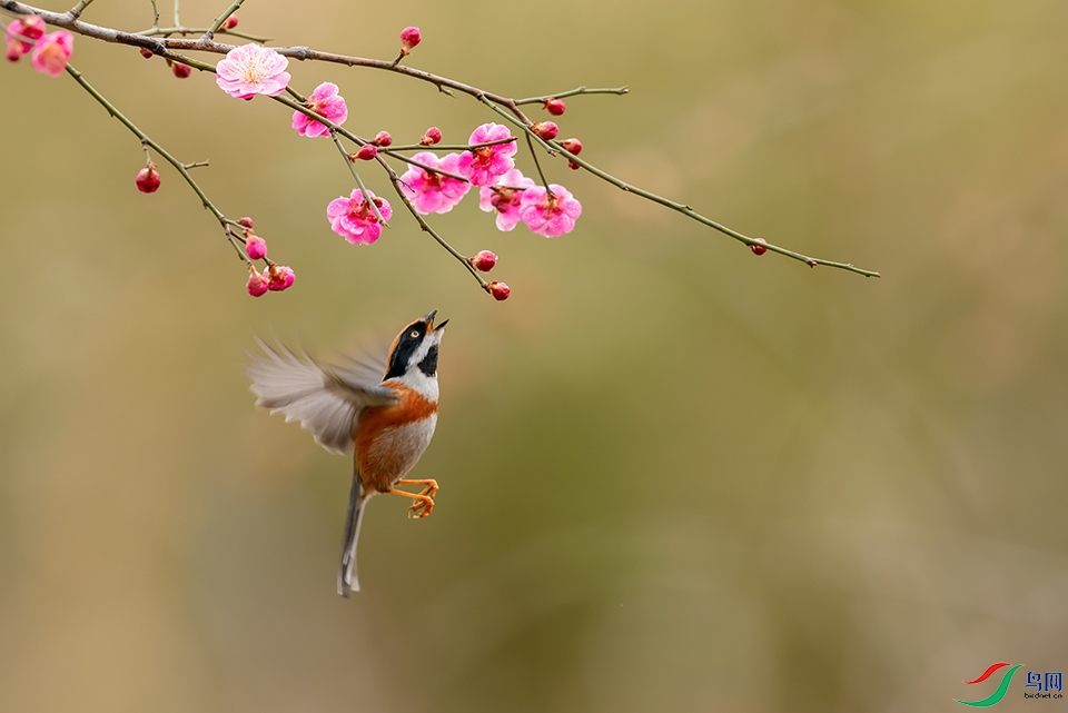 DSC_7855_DxOa.jpg