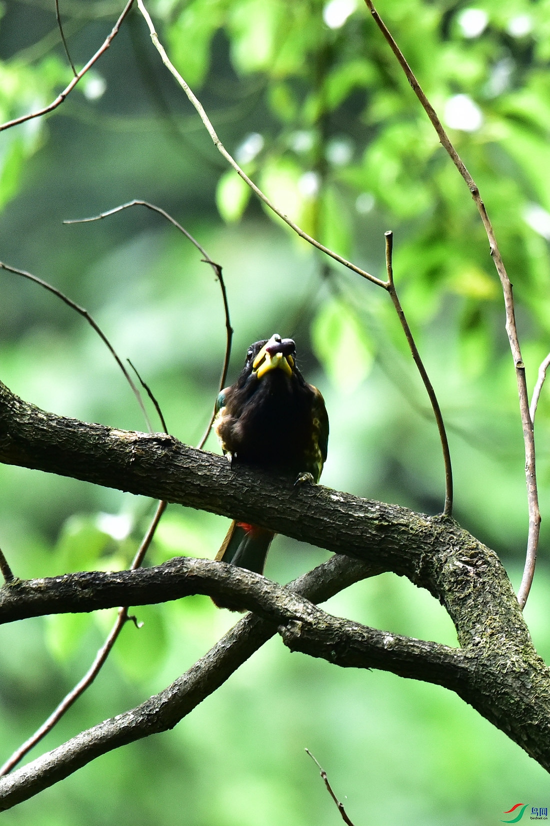 DSC_0948.JPG