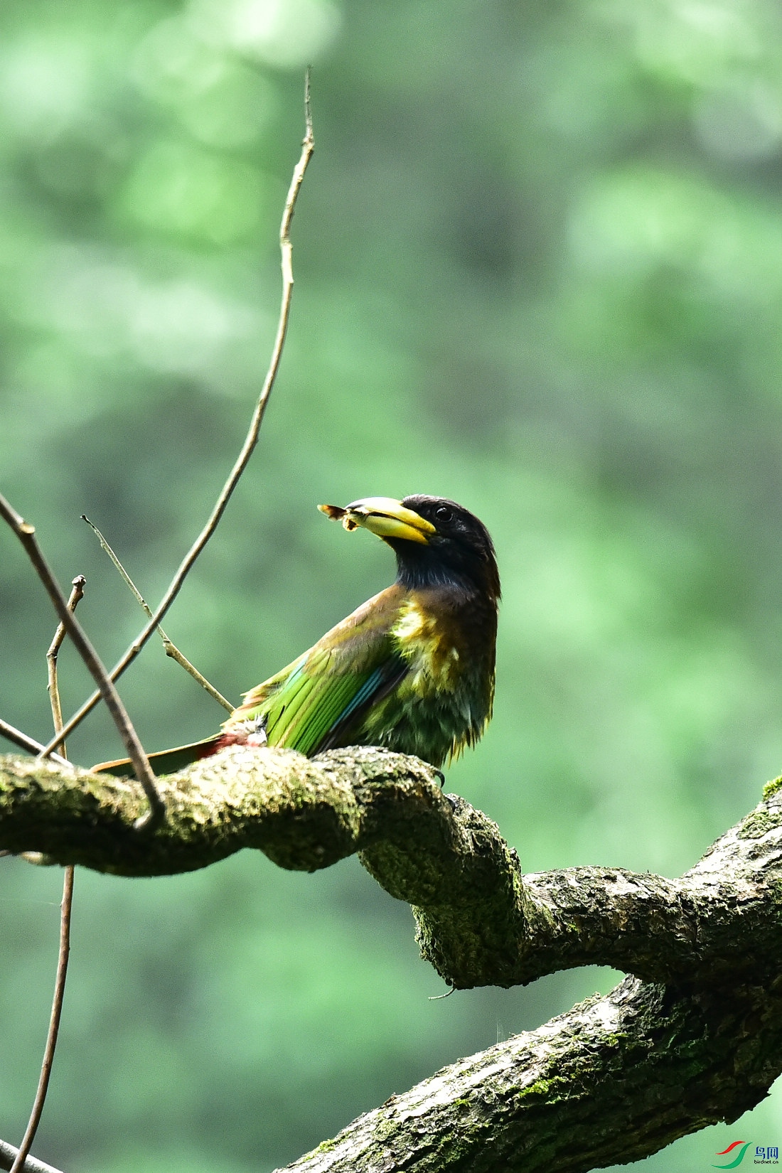 DSC_0951.JPG