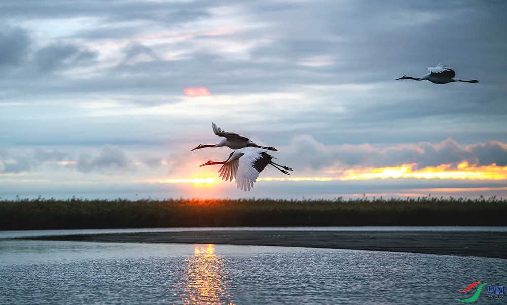 _DSC0786==1x.jpg