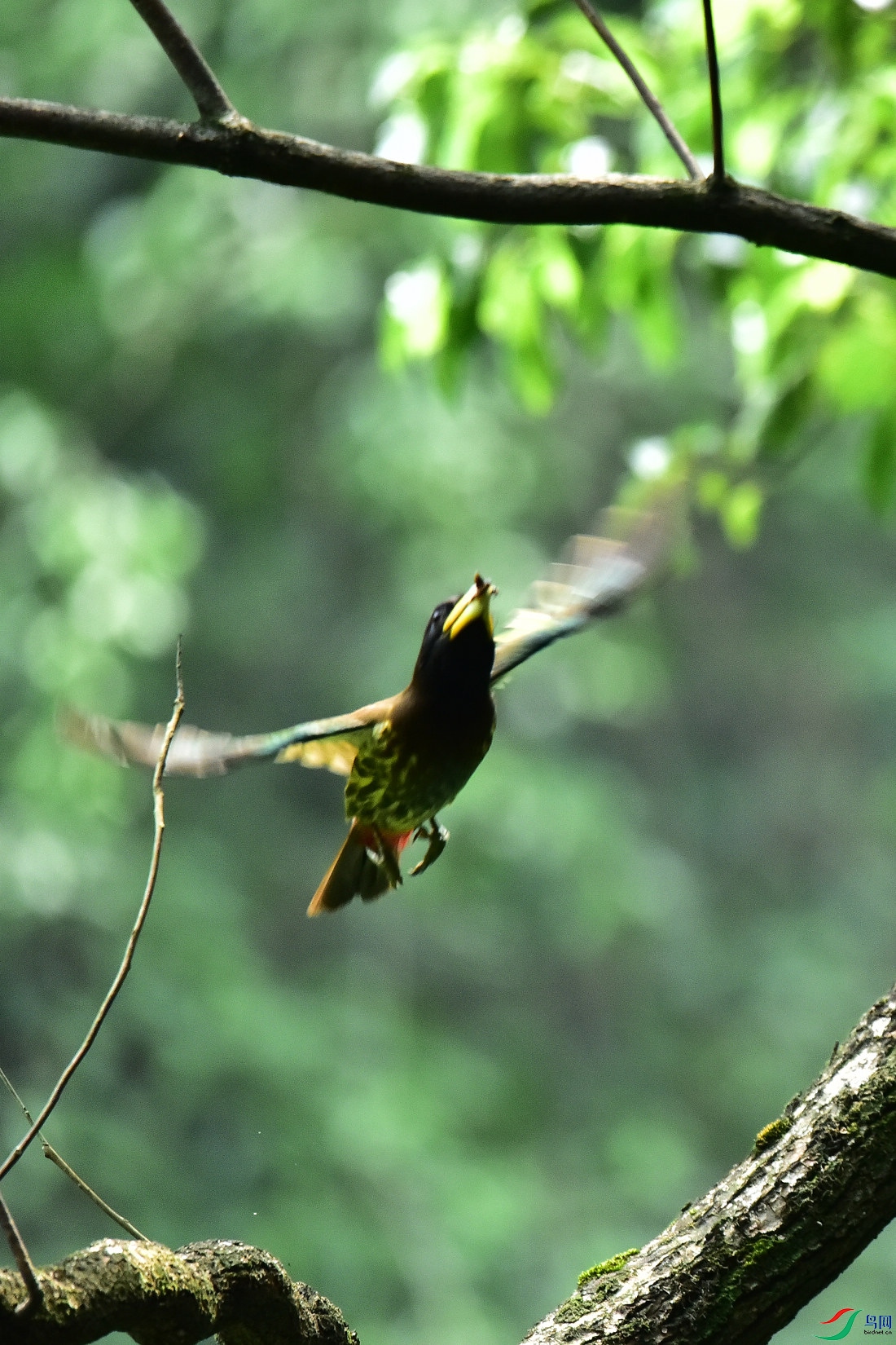 DSC_0954.JPG