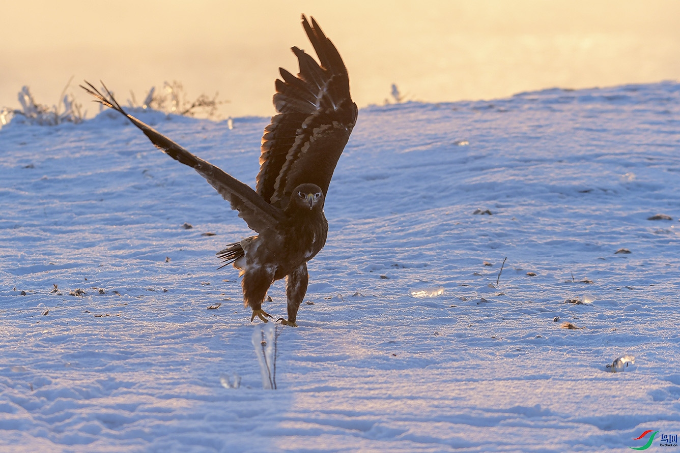 DSC_5355-2.jpg