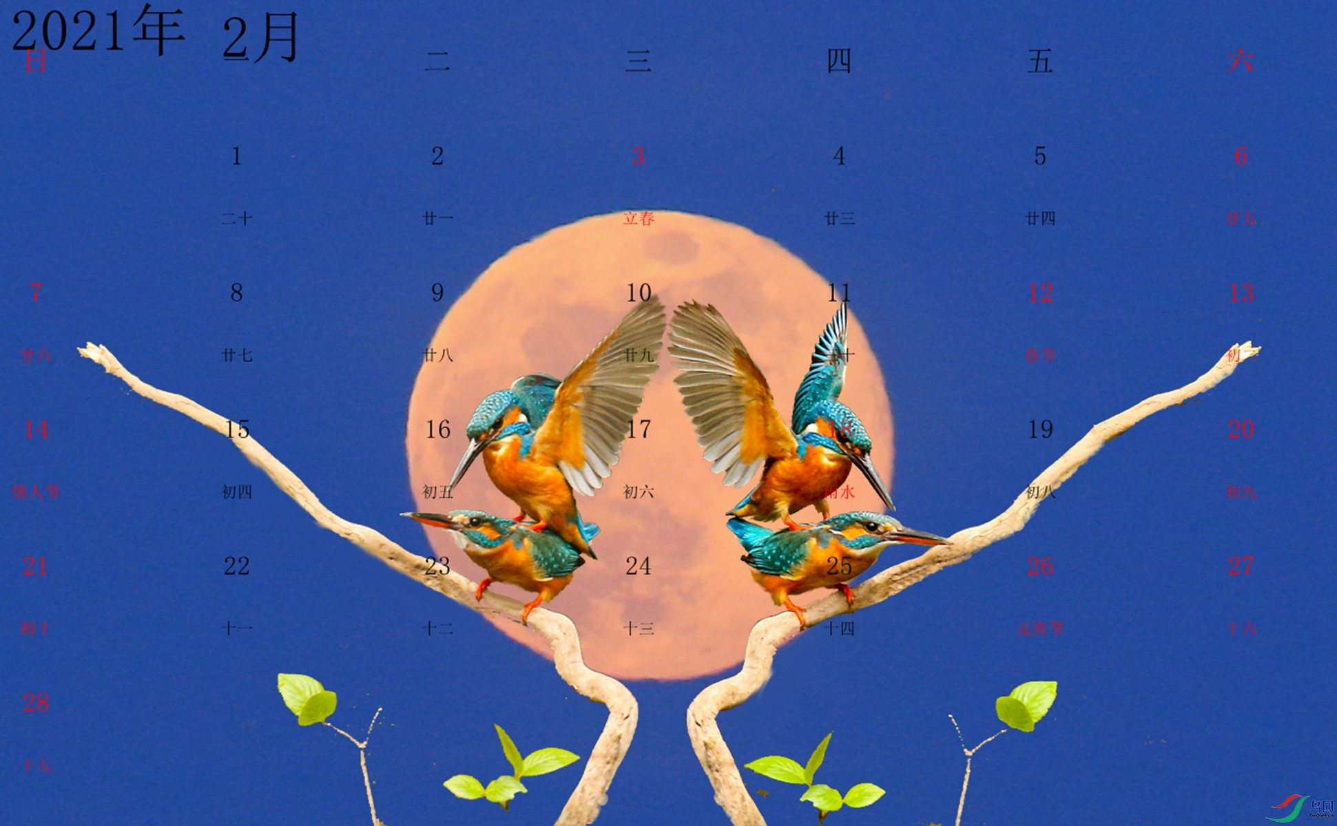 BE7W5673 - ����.jpg