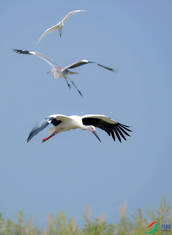 _DSC9666==2x.jpg