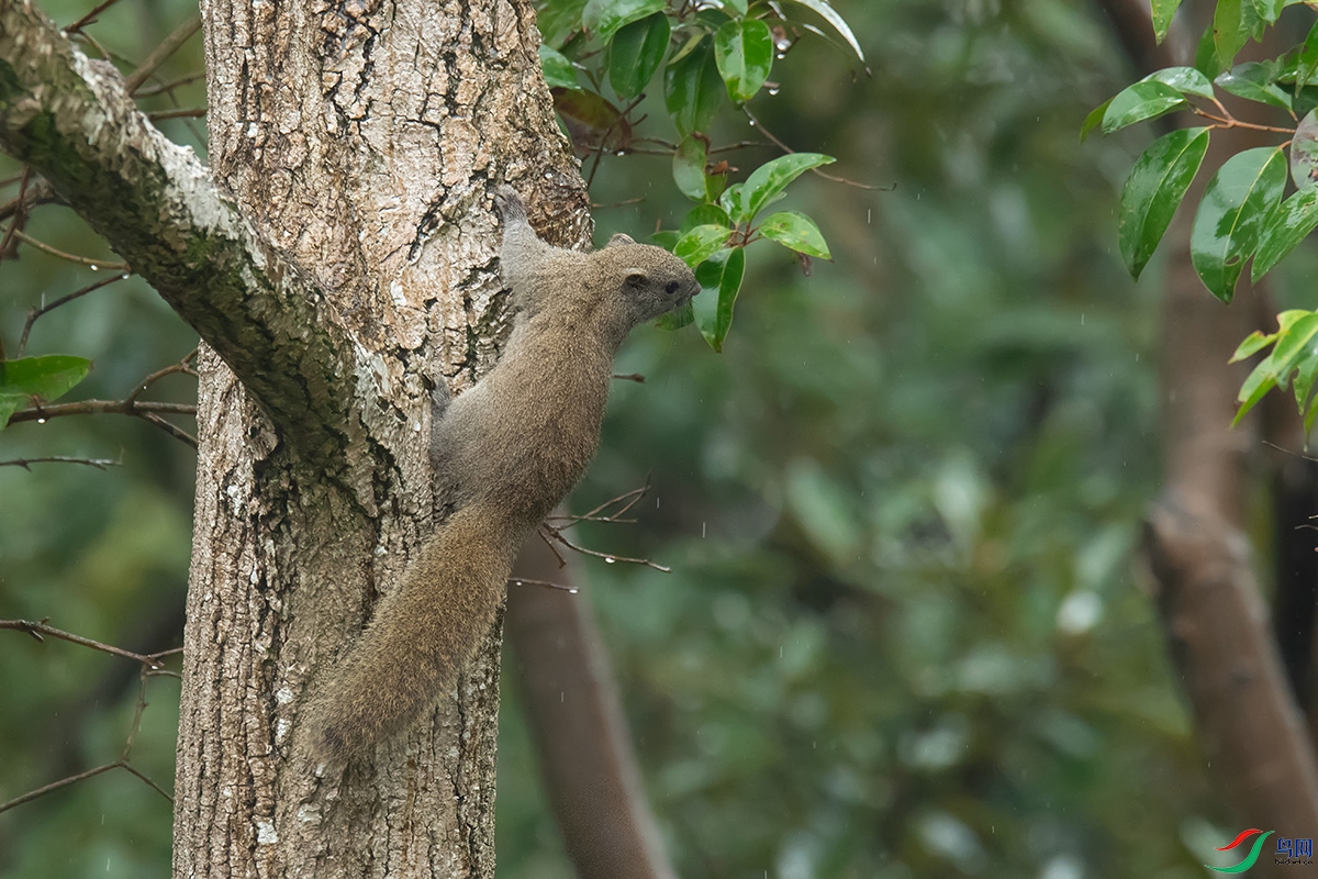 DSC_p7374.jpg