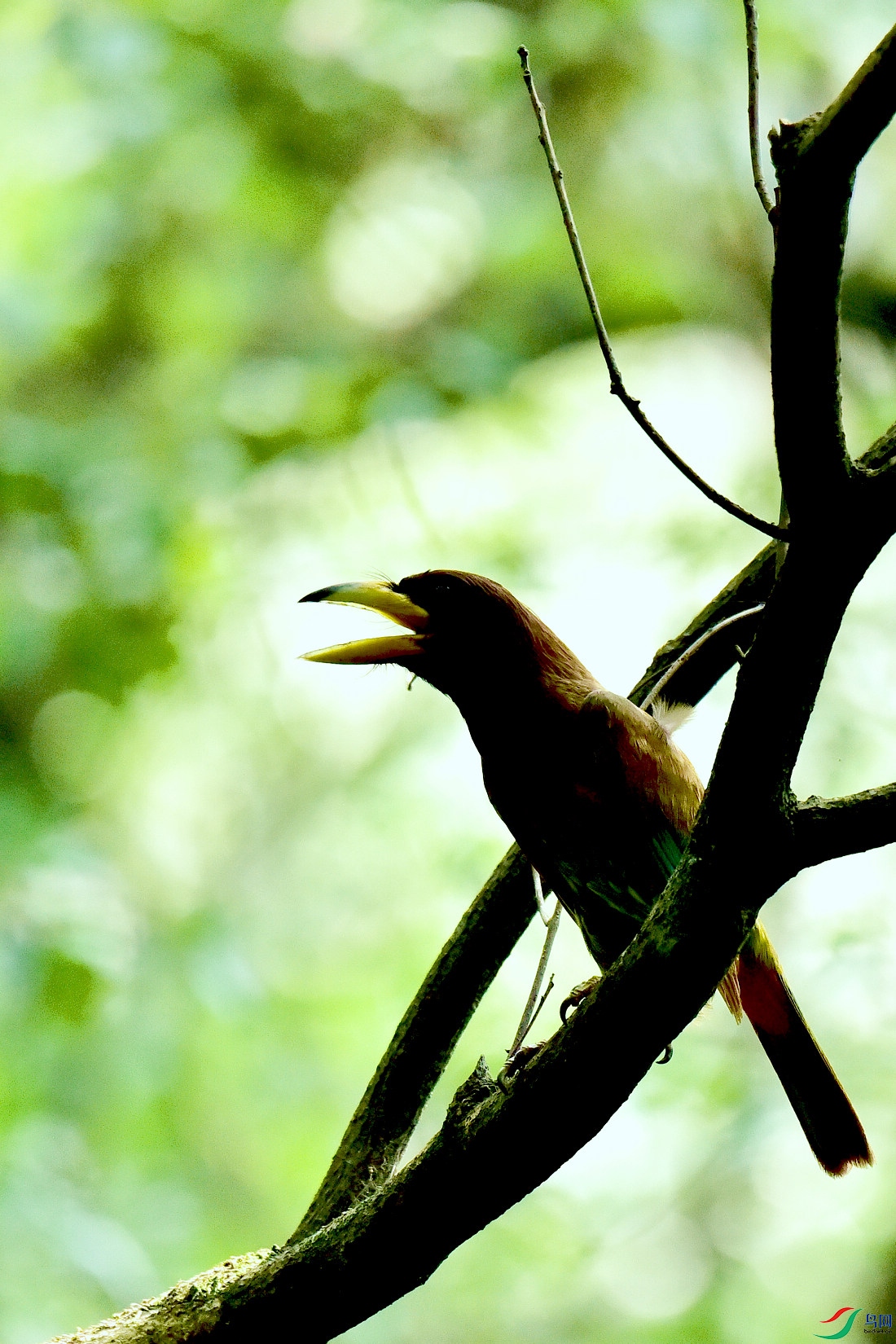 DSC_0960.JPG