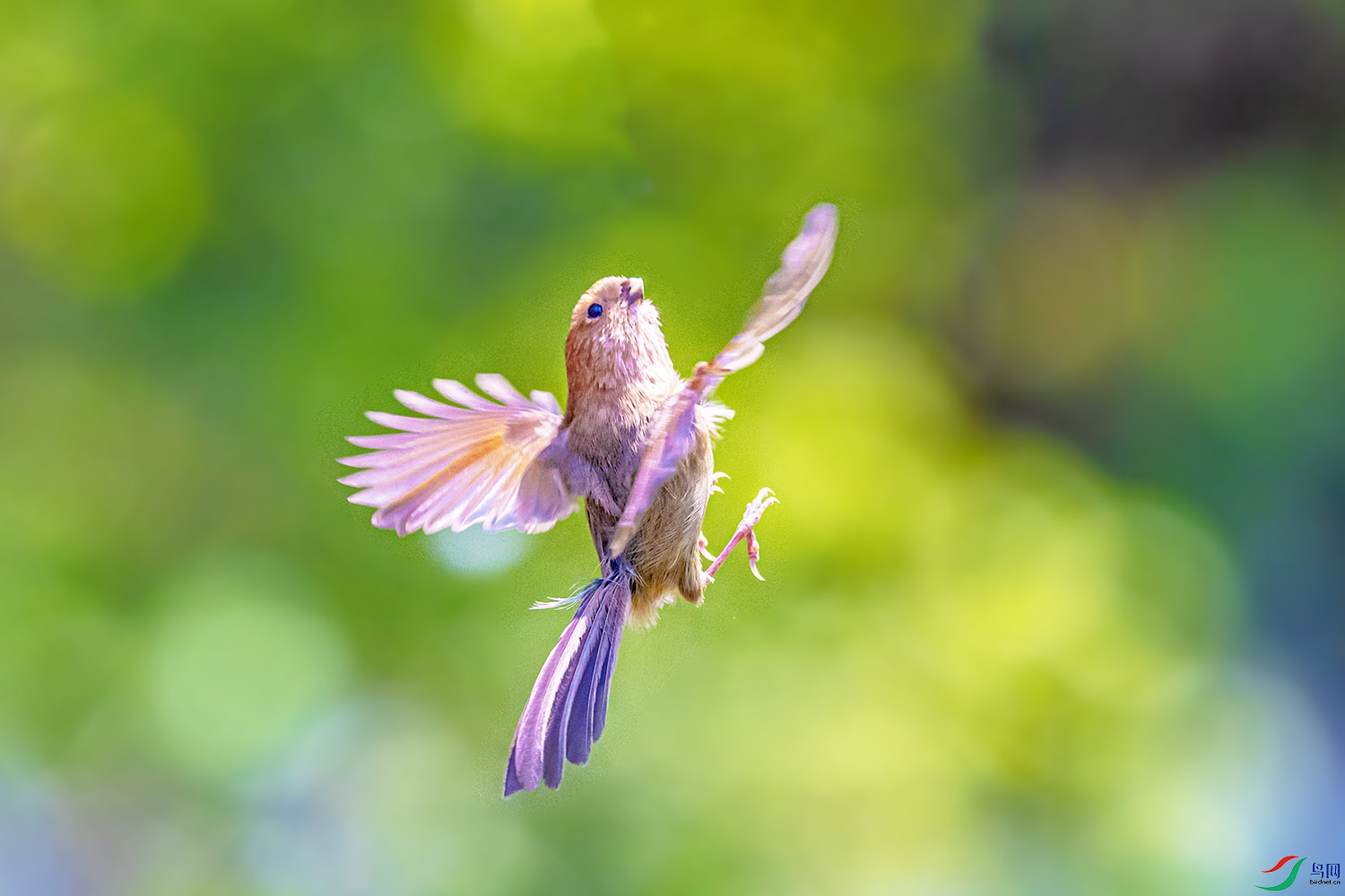 DSC_7338.jpg