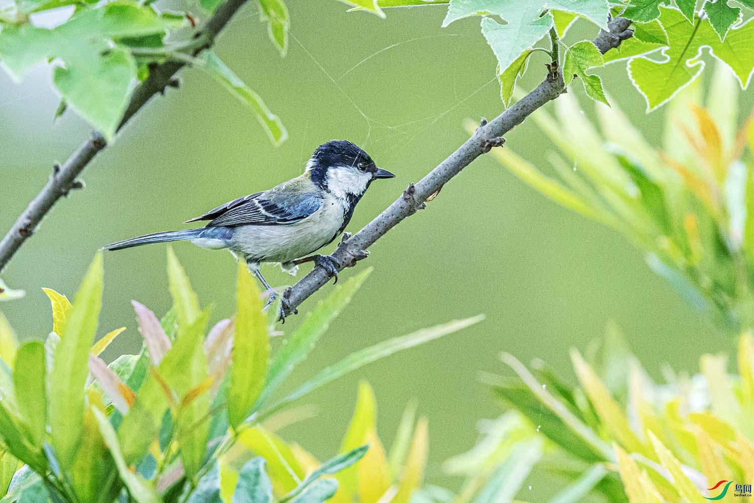 DSC_1912.jpg