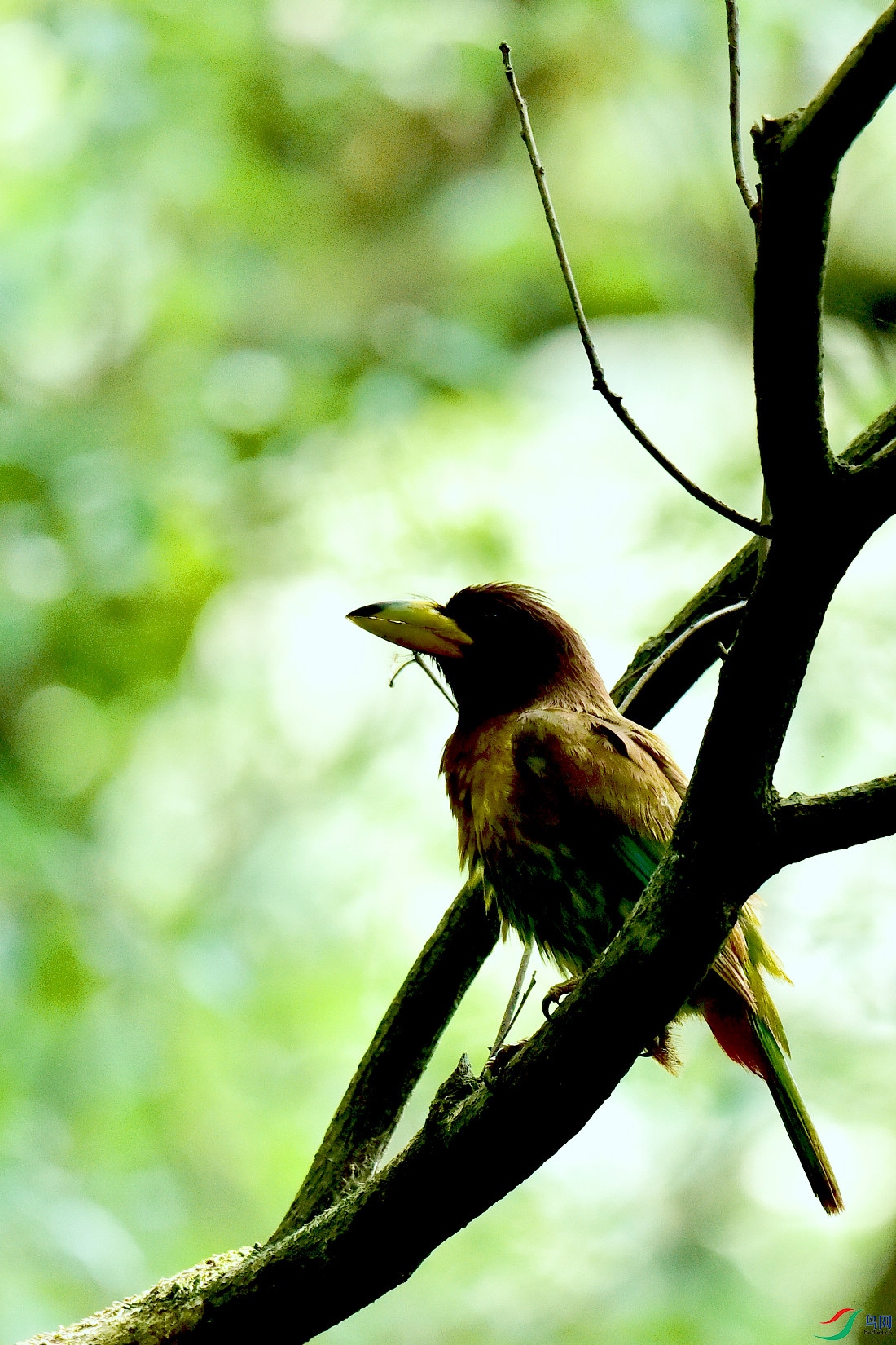 DSC_0967.JPG