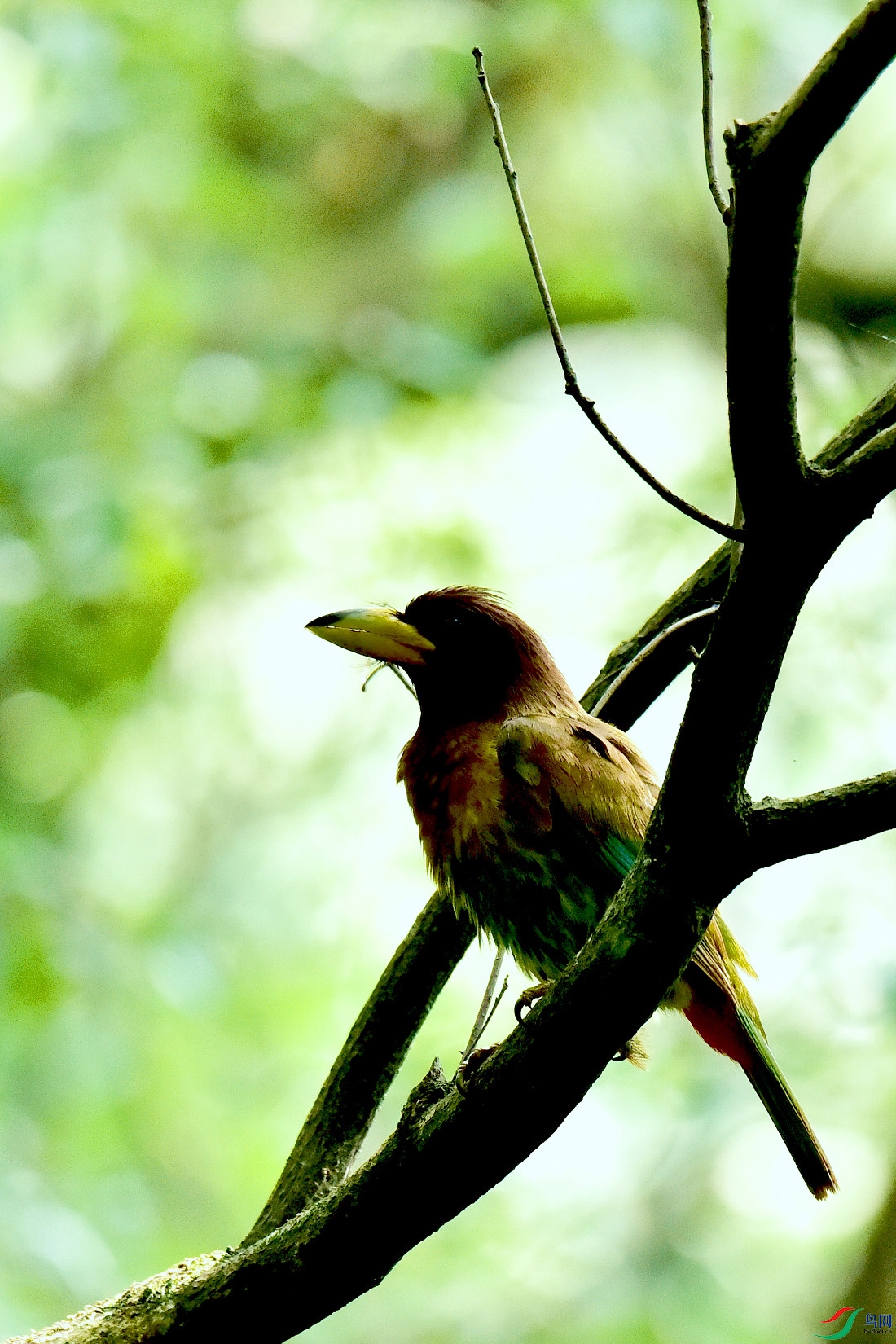 DSC_0968.JPG
