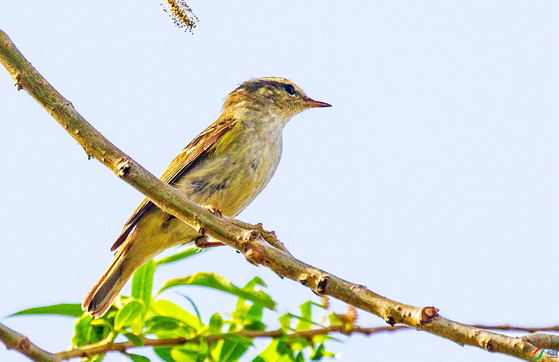 �������ѧ�� ��_����.jpg