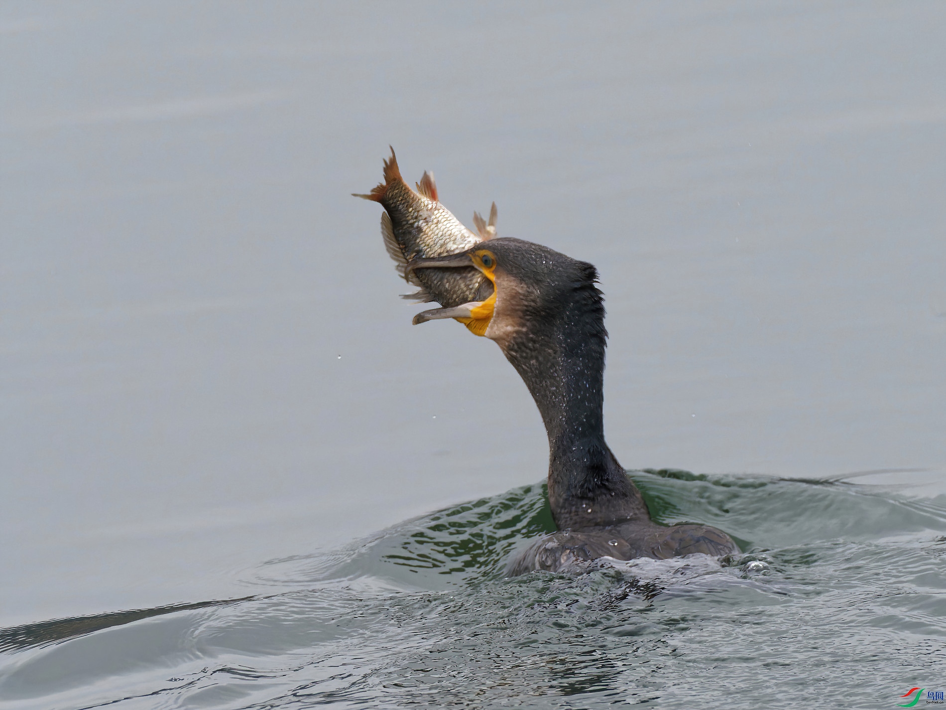 P2270127_DxO-sd2.jpg