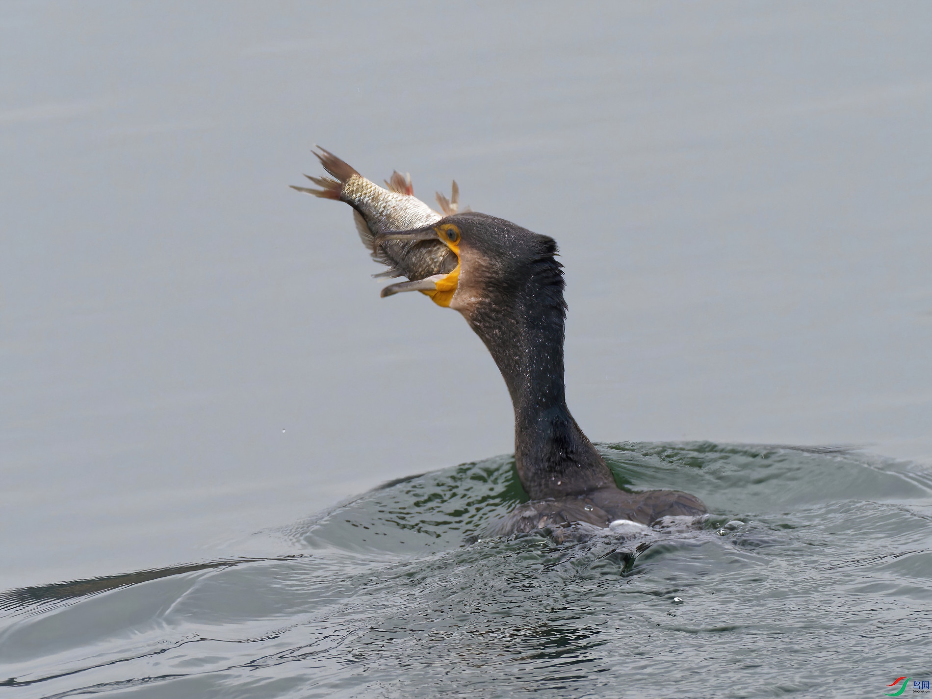 P2270128_DxO-sd2.jpg