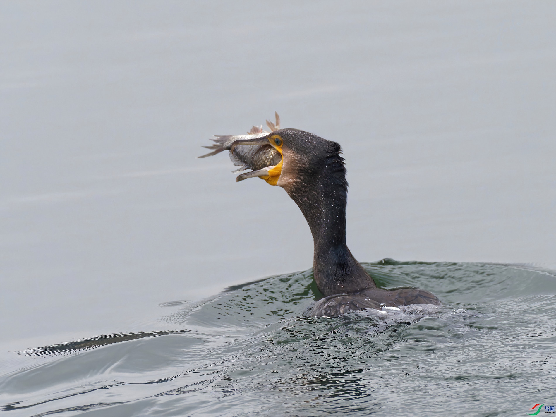 P2270129_DxO-sd2.jpg