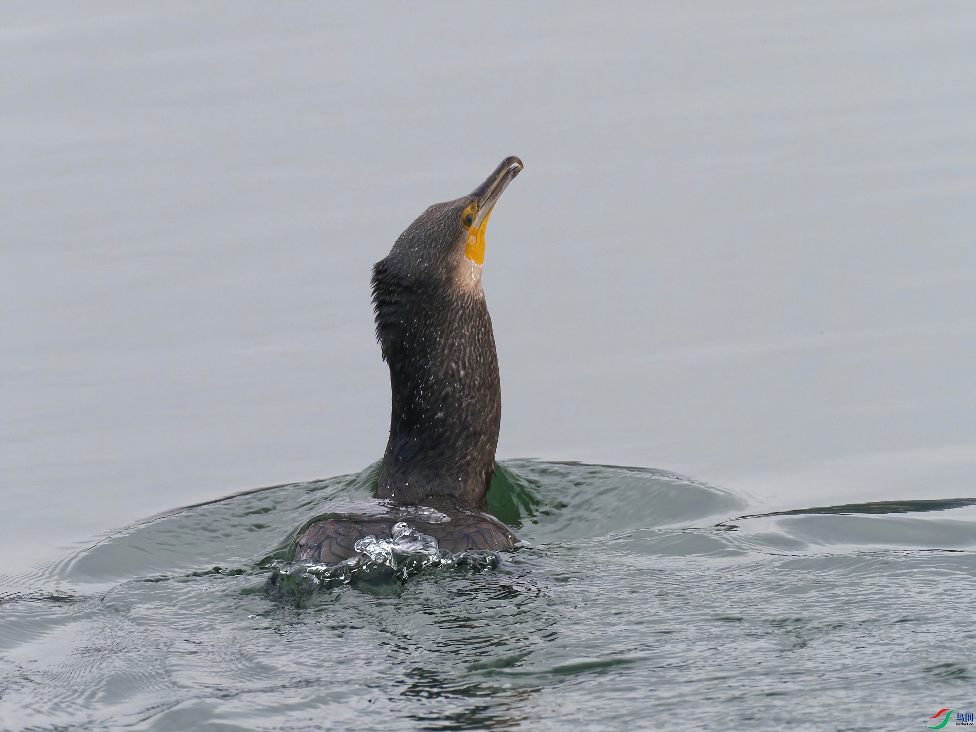 P2270130_DxO-sd2.jpg