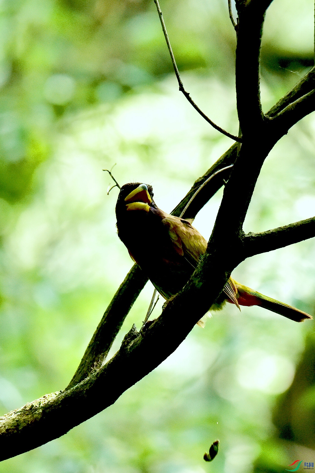 DSC_0972.JPG