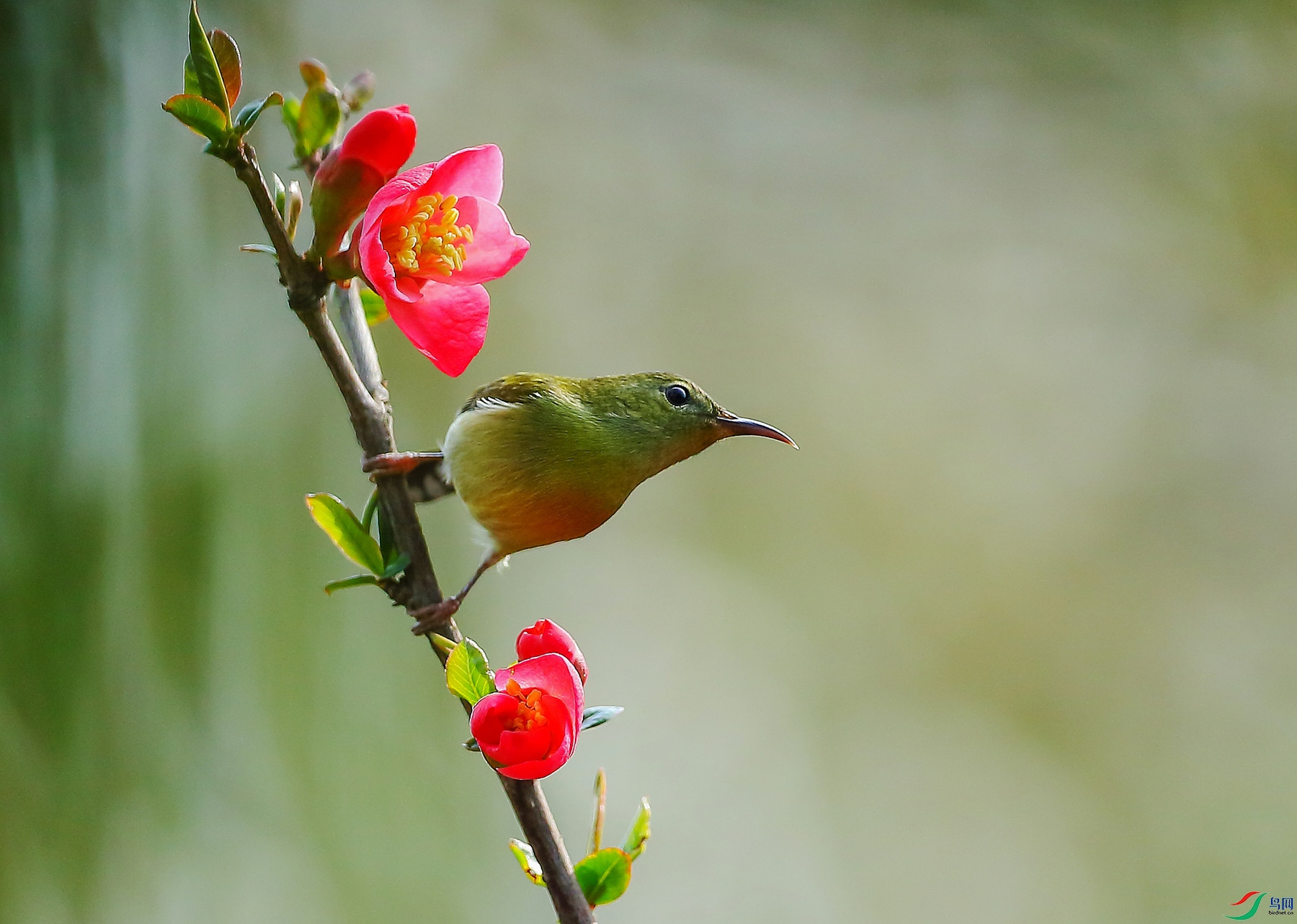 ��βMM2_����.jpg