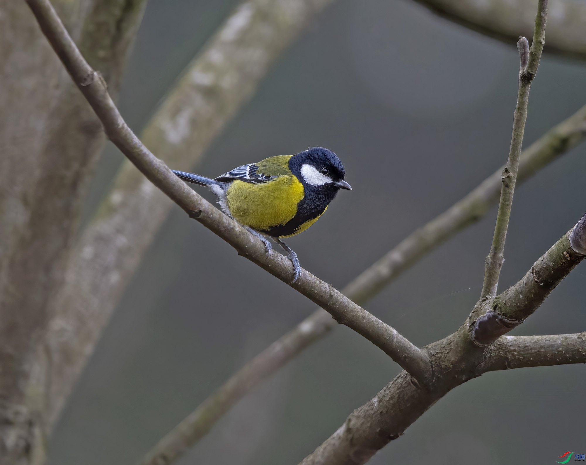 DSC_5974.jpg