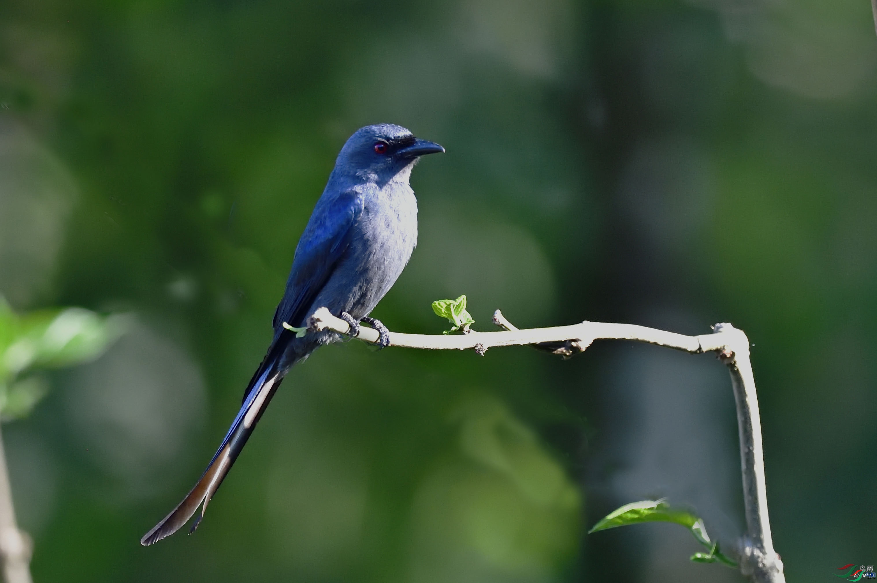 ��Ҳ����  ��ʦ������̩��.jpg