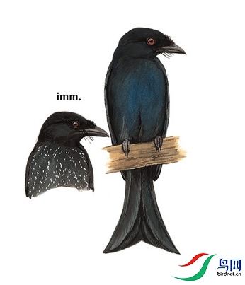�ޱ���.jpg