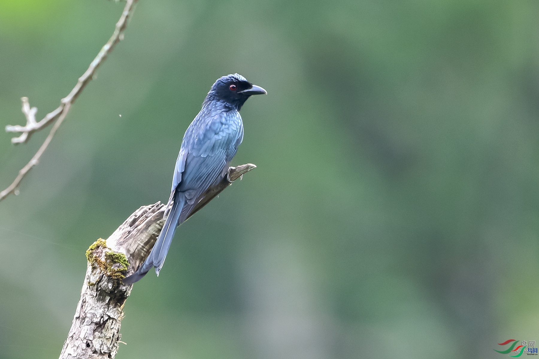 ��������  ��ʦ�����ڸ���ʡ������.jpg