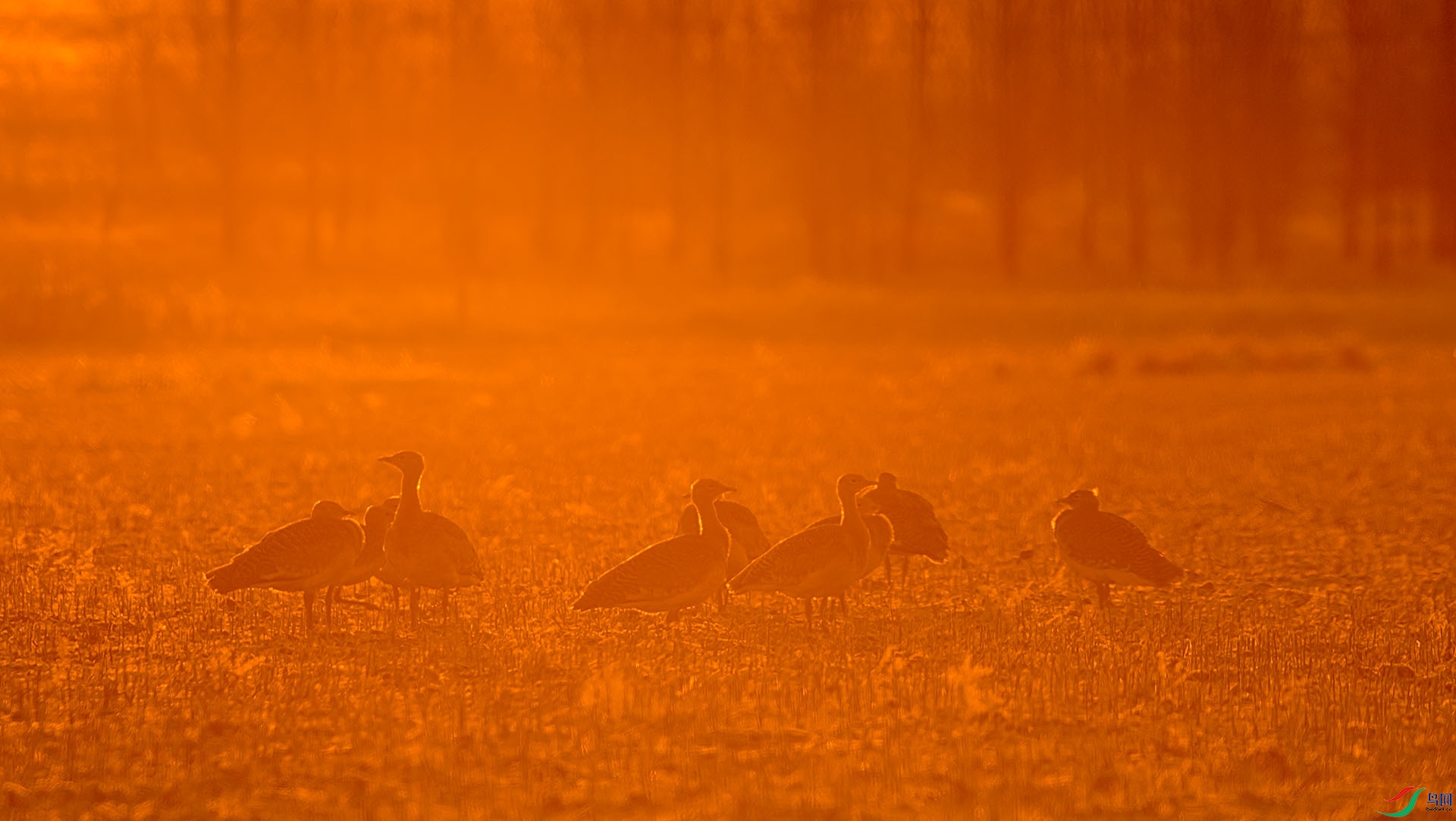 DSC_3456_wpsͼƬ.jpg